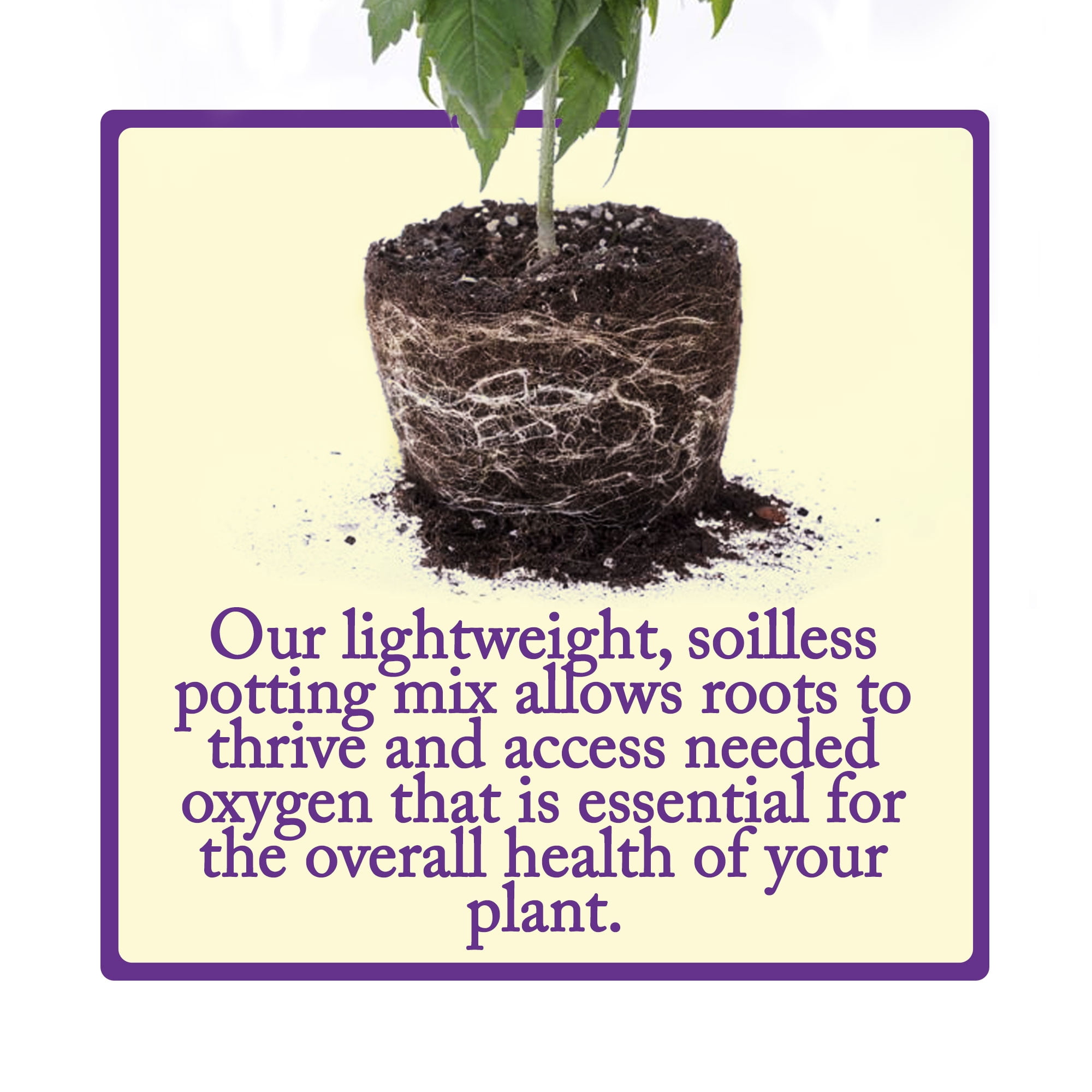 Esbenshade''s Professional Lightweight Potting Mix, 14 Quart Bag