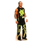 Shawn Michaels -WWE