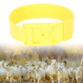 thumbnail image 4 of Goat Collar, PU 10Pcs Farming Equipment Small Sheep Identification Bands Lightweight  for Marking 36cm Red,36cm Green,36cm Yellow,36cm Orange,36cm Blue, 4 of 7
