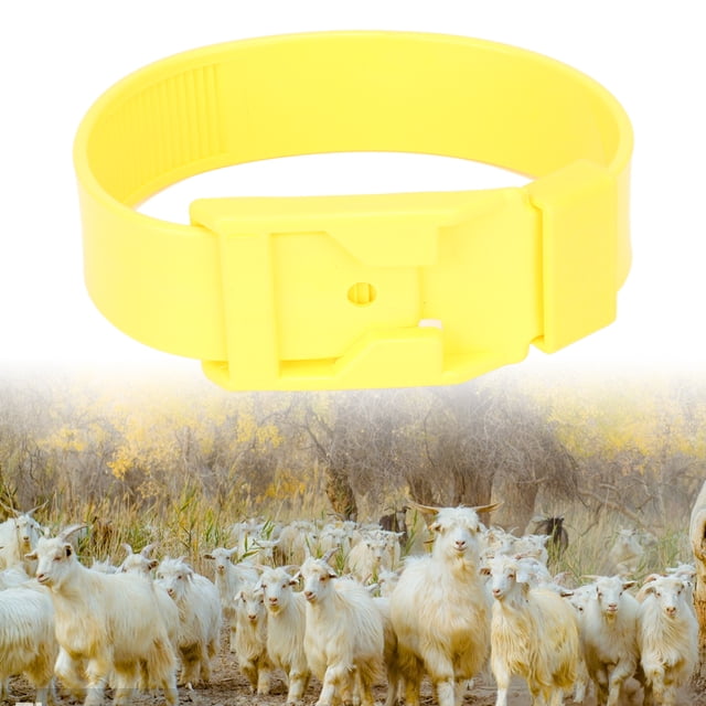 Sheep Identification Collar,Color Recognition Bands for Livestock Marking,Marking and Distinguish Sheep,Strengthen Nutrition Storage