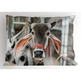 thumbnail image 1 of Farm Animal Pillow Sham, Cute Cow Eating Grass Livestock Photo in Thailand, Decorative Standard King Size Printed Pillowcase, 36" X 20", Dark Taupe Pale Grey and Dark Peach, by Ambesonne, 1 of 2