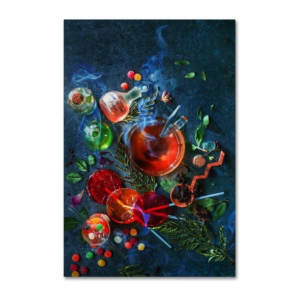 Trademark Fine Art 'Don't Be Sad Potion' Canvas Art by Dina Belenko