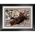 thumbnail image 1 of Impression Encadrée Panda Rouge, 1 of 4