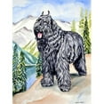 thumbnail image 1 of Carolines Treasures 7049CHF Bouvier des Flandres Drapeau Toile Maison Taille, 1 of 4