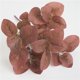 thumbnail image 5 of Billuyoard Hojas de eucalipto Planta artificial Hojas Centro de Hojas Oficina en el hogar Fiesta de boda Decoración Planta Plantas Artificiales rojo Billuyoard HA6648-06B, 5 of 6