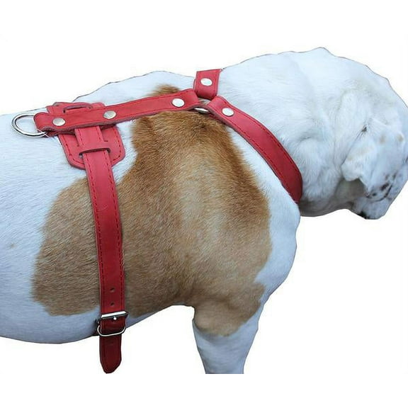 Genuine Leather Dog Harness, 29'-37' Chest, 1' Wide Straps, Doberman, Pitbull, Bullterrier