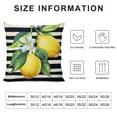 thumbnail image 5 of HENGT Lemon Pillow Covers Spring Summer Farmhouse Lemon Throw Pillow Case, Black and White Stripe Buffalo Plaid Truck Decorative Pillow Covers for Living Room, Bedroom, Couch, Car, 5 of 5