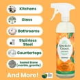 thumbnail image 3 of Absolute Green All Purpose Cleaner Spray, Multi-Surface Cleaner, Safe Around Kids + Pets, Orange Scent, 1 Pack, 25 oz, 3 of 5