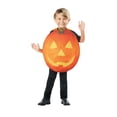 thumbnail image 1 of Kid's Pumpkin Costume, 1 of 1