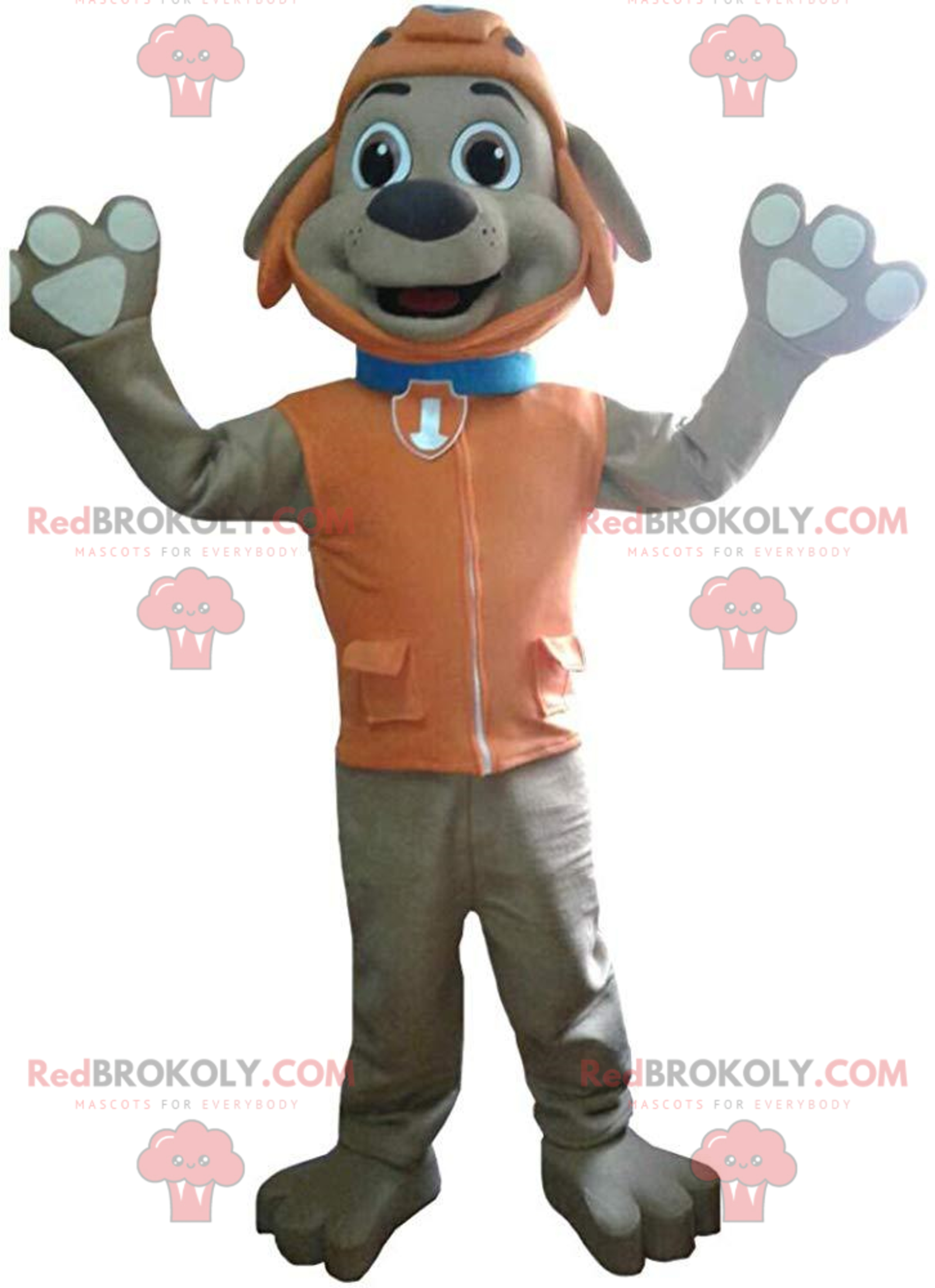Mascot Zuma, the famous brown dog in "Paw Patrol"