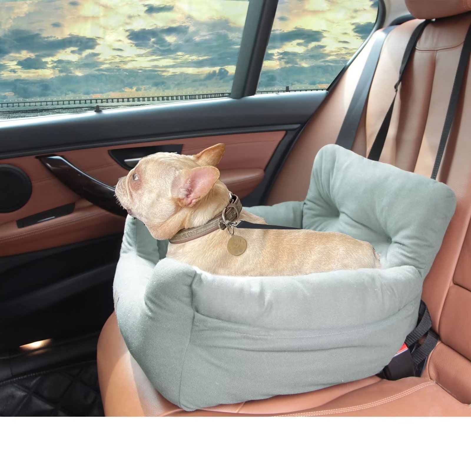 PET Dog Car Seat, Puppy Car Seats for Small Dogs, Washable Dog Car Bed