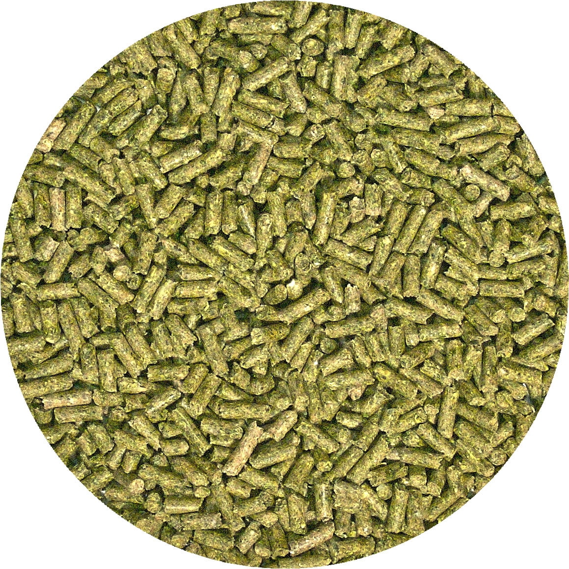 Zoo Med Natural ADULT Iguana Food (10 oz - Dry Pellets)