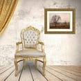 thumbnail image 3 of Van Swearingen, Debra 14x12 Gold Ornate Wood Framed with Double Matting Museum Art Print Titled - Morning Calm IV, 3 of 4