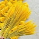 thumbnail image 3 of Bienvenido 100 piezas de flores artificiales plantas artificiales grandes flores secas de trigo gavillas de trigo secas naturales, racimos de tallos de trigo secos, trigo real para suministros de, 3 of 5