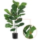 thumbnail image 3 of Yeshouse Ficus lyrata artificial de 99 cm (39 pulgadas), planta artificial en maceta con hojas realistas y tronco de madera natural, 3 of 7