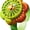Green, variant on Wrist Watch Fan with LED Light, Battery Powered Wearable Portable Cooler Mini Fan, Ideal for Cycling, Picnic, Vacation, Home, Outdoor Camping, Boys, Girls, Men, Women
