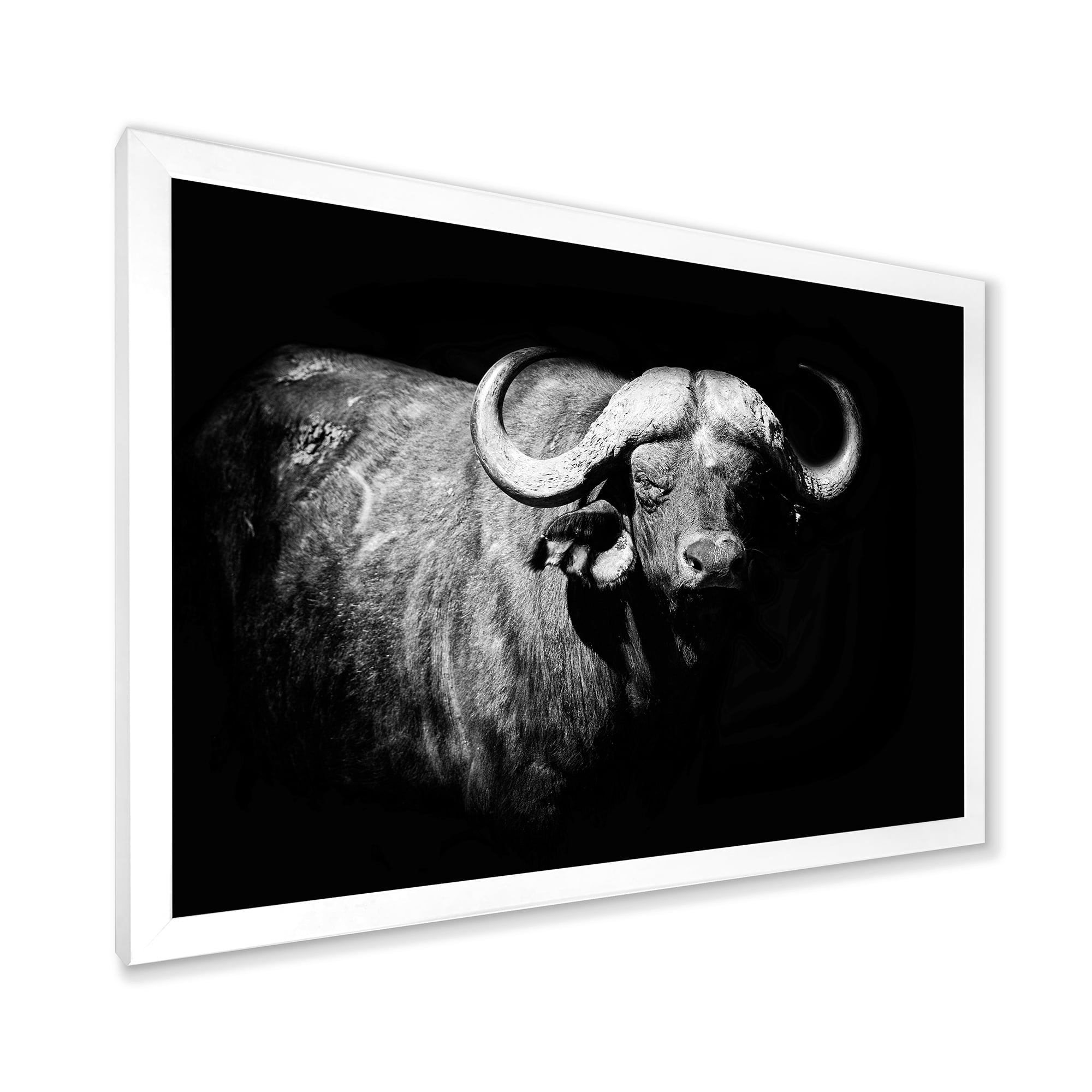 Designart 'Black and White Portrait Of Buffalo I' Farmhouse Framed Art Print