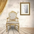 thumbnail image 3 of Studio III 17x24 Gold Ornate Wood Framed with Double Matting Museum Art Print Titled - Studio III - Feather 004, 3 of 4