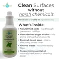 thumbnail image 3 of EarthSential Peppermint Plant-Based All Purpose Cleaner Concentrate 32 oz Makes 64 16 oz Bottles, 3 of 6