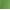 Green Valley, variant on Time and Tru Women's Double Cloth Cotton Midi Dress, Sizes XS-XXXL
