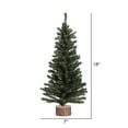 thumbnail image 3 of Vickerman 18" Mini Pine Artificial Christmas Tree, Unlit, 3 of 5