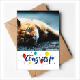 thumbnail image 1 of Animal Pure Blue Eye Cat Photograph Wedding Cards Congratulations Greeting Envelopes, 1 of 3
