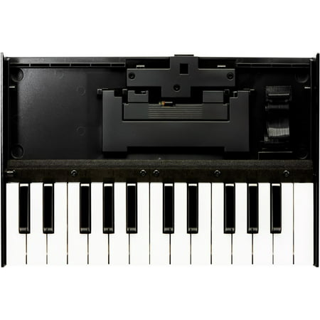 Roland K-25m Boutique Keyboard Unit (Best Roland Keyboard For Beginners)