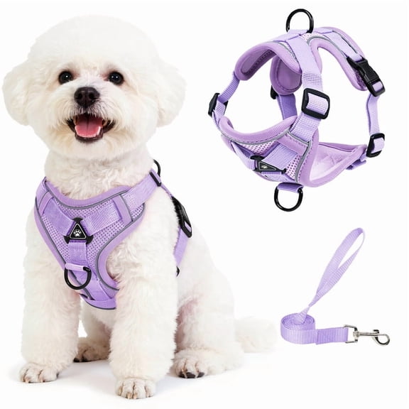 Exclusivo Mezcla Pet Harness and Leash Set, Adjustable Reflective Walking Dog Harness for Small Dogs, No Pull Soft Mesh Puppy Harness, Purple, M