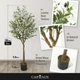 thumbnail image 2 of CAPHAUS Artificial Olive Tree, 5 / 6 / 7 Feet Fake Potted Topiary Tree with Dried Moss, Faux Olive Branch and Fruit, Faux Plant in Pot for Indoor Home Office Modern Decoration Gift for Housewarming, 2 of 9