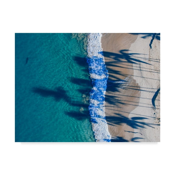 Trademark Fine Art 'Hawaii View VI' Canvas Art by Adam Mead