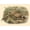 Unframed, variant on Art.com Gould Pheasants I Art Print by John Gould, 16" x 12"