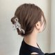 thumbnail image 1 of unbranded Accesorio Para Clip Garra Plateado Con De Para Mujer, 1 of 8