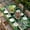 Green DarkGreen, variant on St. Patrick's Day Table Cloths for 5 Foot Rectangle Tables, Green Truck Clovers Floral Butterfly Wood Patio Waterproof Elastic Fitted Tablecloths, Washable Rectangular Table Cover for Camping