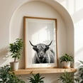 thumbnail image 5 of woolly cow - Photography Highland Cow Black and White Animal Portrait Farmhouse Rural Rustic Unframed Wall Art Print 12 x 18 inches, 5 of 60