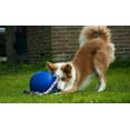 thumbnail image 5 of Jolly Pets Romp-n-Roll 8 inch Blue Rubber Ball with Rope for Dogs, 5 of 7