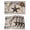Beige, variant on Texas Star Vintage Placemats Set of 4, Brown Retro Berry Beige Wooden Branches Placemats for Dining Table, Place Mats for Kitchen Tabletop, Waterproof Wipeable Dining Table Mats Set