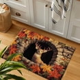 thumbnail image 4 of Fmbmuo Rectangular Door Mat Absorbent, Soft Indoor Decor Entryway Rugs Runner, Farmhouse Cartoon Dog Multicolor Entry Rug, 16"x24", 4 of 5
