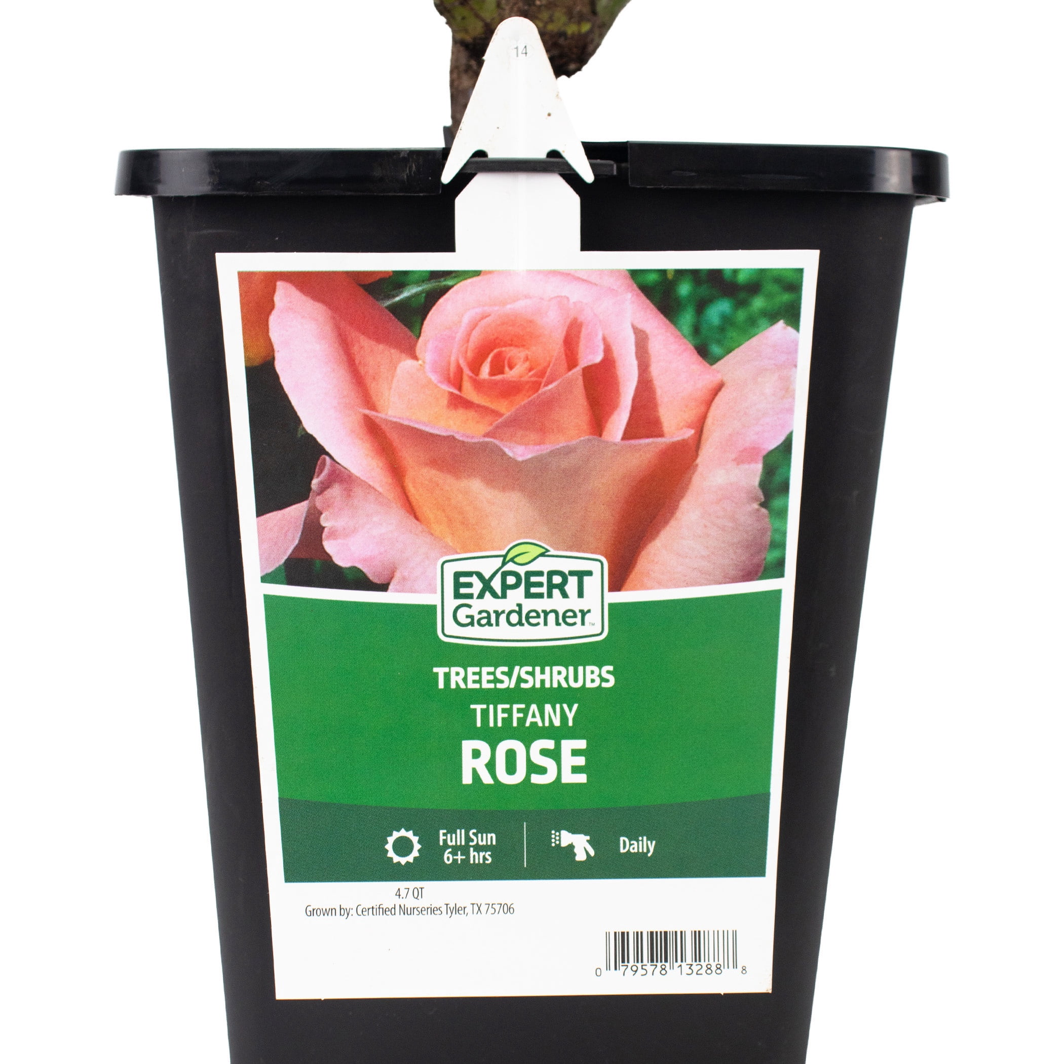 Expert Gardener Dormant Packaged Garden Rose Live Shrub, Assorted
