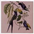 thumbnail image 2 of Susumu Yokota - Sakura - Music & Performance - CD, 2 of 2