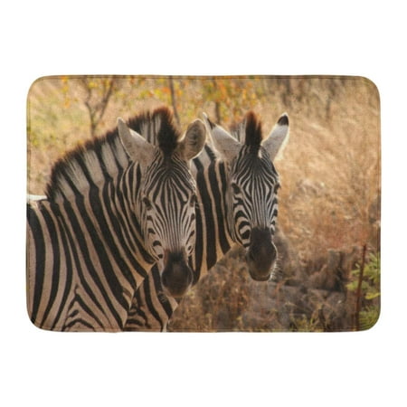 GODPOK Burchells Black African Zebra Duo Kruger National Park South Africa White Animal Conservation Rug Doormat Bath Mat 23.6x15.7