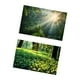 thumbnail image 4 of Fondo fotográfico de 57x87 cm con paisaje natural, doble cara. Estilo B, 4 of 9