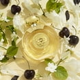 thumbnail image 1 of GUESS Bella Vita Brume Scintillante Parfumée 8,4 Fl Oz, 1 of 3