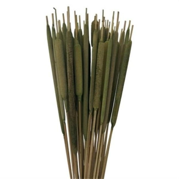 Metrotex Designs 41251 27.5 in. 50 Stems Cattail Bouquet, Fresh Grass