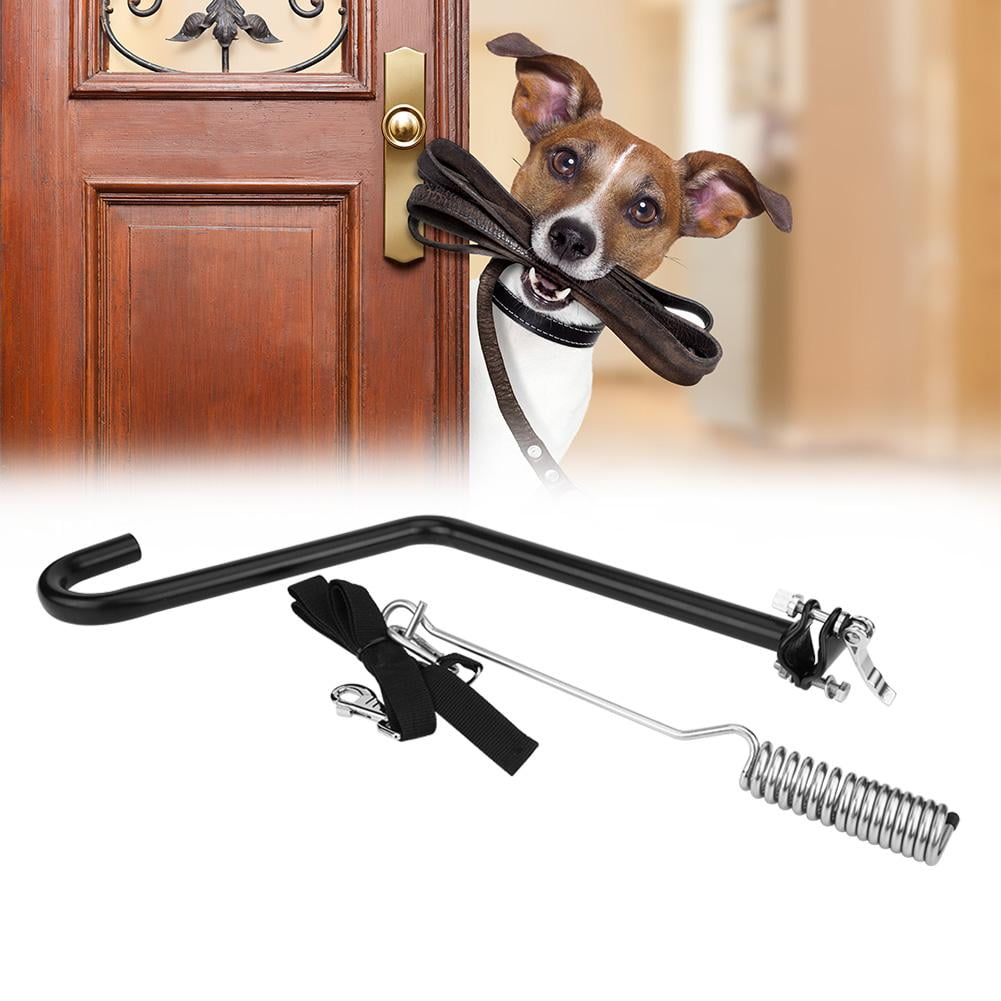 dog bike leash walmart
