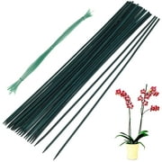 HCQXNSL Plant Support Stakes 30Pcs Bamboo Floral Support Pole Multipurpose Green Garden Sticks with Plant Fixing Ties for Garden Potted Plant Vine Plant Floral