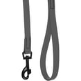 thumbnail image 6 of DogLine - Biothane Waterproof Dog Leash Strong Coated Nylon Webbing with Black Hardware Odor-Proof for Easy Care Clean High Performance for Small or Large Dogs(Grey: Width 3/4" | L: 72"(6ft)), 6 of 7
