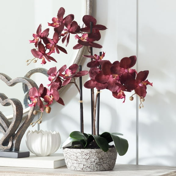 Studio 55D Potted Silk Faux Artificial Flower Realistic Red Orchid in Crackle Gray Vase for Home Decoration  Living Room 24" High