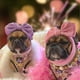 thumbnail image 4 of Paquete de 2 diademas con lazo grande para mascotas, tocado con lazo elástico, tocado con lazo de poliéster, cubierta para la cabeza para perro, gato, cachorro, ropa de baño, 4 of 5