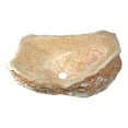 thumbnail image 2 of Anzzi LS-AZ148 Desert Shell Vessel Sink in Dark Honey Onyx, 2 of 5