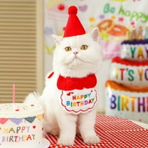 Adorable Cat Party Costume - Red Birthday Hat & Matching Collar Set